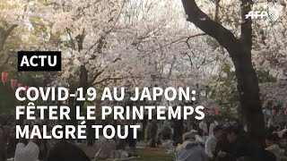 Le Japon profite de la floraison des cerisiers malgré le coronavirus  AFP News [upl. by Syman]