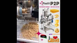 P2P Makarna Erişte Lazanya Ravioli Makinesi  Pasta Lasagna Tagliatelle Ravioli Machine [upl. by Yreffeg729]