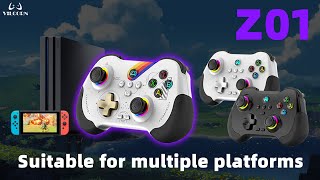 Z01 PC GAMEPAD DUAL HALL EFFECT GAMING CONTROLLER  How to Connect [upl. by Anawed]