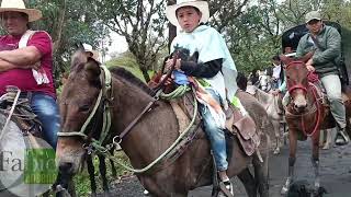 Cabalgata Mochilera Vereda Veraguas Pacho Cundinamarca [upl. by Acey]