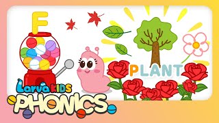 Phonics Word  Episode PLANT  Alphabet Play  Kids English Study  LarvaKids Study  KIDS [upl. by Enelehcim599]