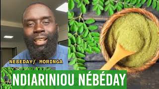 en Wolof  les bienfaits de Moringa Nébéday [upl. by Llehsyt]