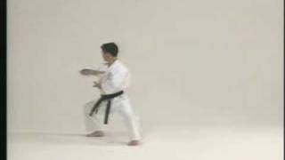 Gojukai kata Seipai [upl. by Lashoh546]