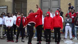 Kappa Alpha Psi Spring 17 Probate Gamma Upsilon chapter SIUC [upl. by Anehta]