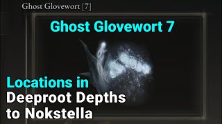 Ghost Glovewort 7 Location in Deeproot Depths to Nokstella  Elden Ring [upl. by Leiser]