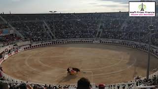 Bullfight in Beziers Part 1 [upl. by Alexandros]