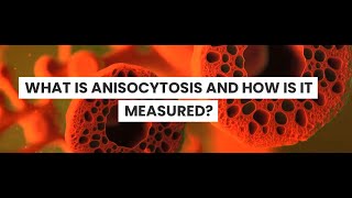 What is Anisocytosis [upl. by Anasiul]