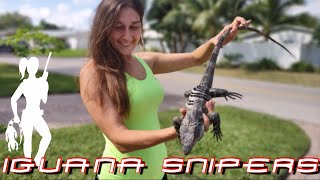 Iguana Solutions wipes out pesky invasive iguanas in South Florida [upl. by Jone]