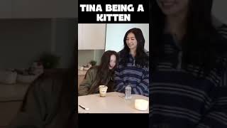 Tina Being a Kitten tinakitten tinakittenclips [upl. by Peskoff198]