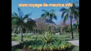 île Maurice voyage à lîle Maurice [upl. by Enerahs]