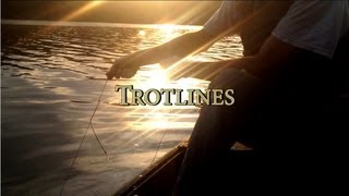 Fishing Catfish With Trotlines [upl. by Wesle932]