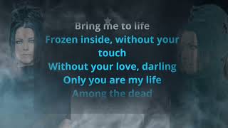 Bring me to life Karaoke With backing vocals Evanescence [upl. by Flosser]