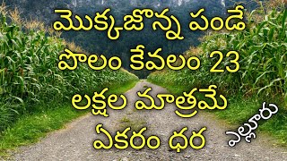 30 acres agriculture land for sale in Andra Pradesh  industrial land for sale in ap  low cost land [upl. by Yras]