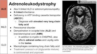 Leukodystrophies ALD MLD and GLD [upl. by Adnauqahs]