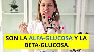 Macromoléculas esenciales para la vida azúcares proteínas lípidos y ácidos nucleicos [upl. by Beatty]