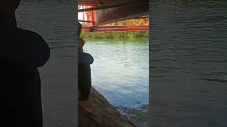 Totolan Bridge Dauis Bohol Underbridge shortsvideo [upl. by Ecnav]