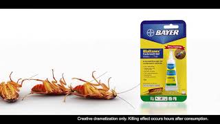 Blattanex® Cockroach Gel Next In Line [upl. by Gina829]