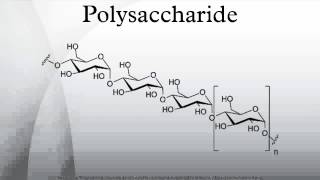 Polysaccharide [upl. by Tennes]