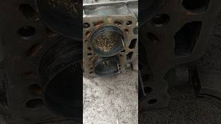 Cylinder Sleeves Liner Remove Tatamotors Tataace Automobile shorts repair [upl. by Vitkun]