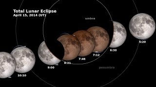 NASA  Need To Know Lunar Eclipse and LRO [upl. by Aynek]