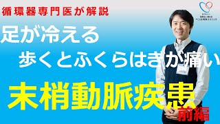 末梢動脈疾患 閉塞性動脈硬化症 足が冷たい 歩くと足が痛い [upl. by Dardani]