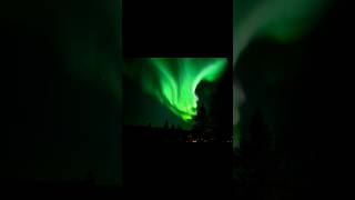 Herrliche Nordlichter in Lappland 🇸🇪🫶 nordlichter northernlights lappland schweden [upl. by Giselle]