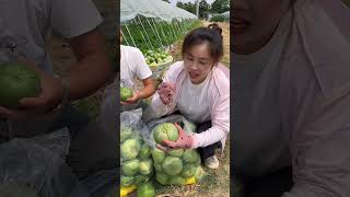 Beautiful Nature  Fresh Fruit Farm shorts shortvideo PS036 [upl. by Junna797]