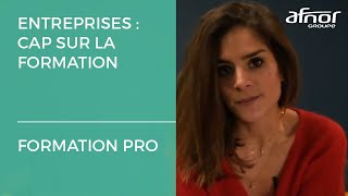 Réforme de la formation professionnelle  ce qui change pour les entreprises [upl. by Minetta]