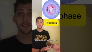 AP Biology topic 46 Cell Cycle in a minute apbiology apbio biology study [upl. by Hsatan]