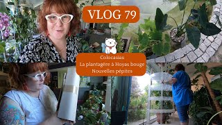 VLOG 79🌿Plantation des COLOCASIAS  Plantagère à HOYAS ça bouge  Des nouvelles pépites  GRENOUILLE [upl. by Colas314]