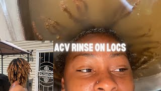 My First ACV rinse on Locs [upl. by Polad]