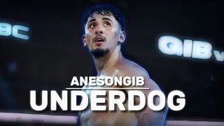 AnEsonGib UNDERDOG  Boxing Documentary [upl. by Steen273]