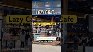 Cafe  Lazycat 🐈‍⬛ in Lidcombe Shopping Centre [upl. by Radman]