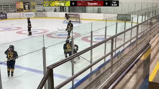 U14AA Flamborough Sabres vs Halton Hills Thunder Stratford Tournament Game 2 [upl. by Shing]