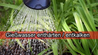 Zimmerpflanzen gießen mit Leitungswasser  Gießwasser entkalken zum Blumen  Pflanzen gießen – TRICK [upl. by Ennaeirrac]