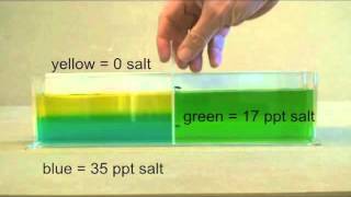 Ocean stratification demonstration salinity and temperature [upl. by Viridissa]