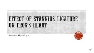 Experimental Physiology Effect of Stannius Ligature on Frogs Heart [upl. by Aynav370]