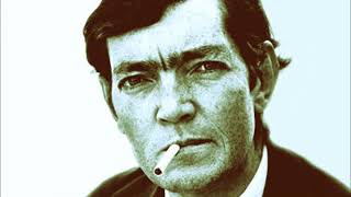 Julio Cortázar  La isla a mediodía [upl. by Gautea166]