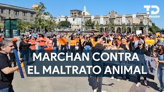 Manifestación en Guadalajara exige castigos más duros contra el maltrato animal [upl. by Inness288]