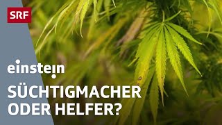 Cannabis – zwischen Droge Nutzpflanze und Medizin  Einstein  SRF Wissen [upl. by Ivetts]