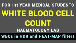 WHITE BLOOD CELL COUNT  HAEMATOLOGY LAB  BLOOD PHYSIOLOGY PRACTICAL [upl. by Inahteb]