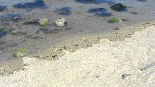 Grandes Marées SaintMalo  Time Lapse marée montante sur le passage du grand bé [upl. by Edyth]