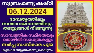 subramanya sashti 2024  sashti 2024  kukke Subrananya Sashti  Shashti  Karnataka  December [upl. by Lahsram921]