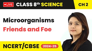 Microorganisms Friends and Foe  Class 8 Science Chapter 2  CBSE 2024 live livestream [upl. by Namyh605]