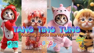 TANG TING TUNG VERSI KUCING LUCU DAN KAWAN KAWAN TERBARU [upl. by Nauwtna]