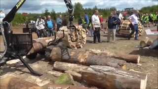 MiniRückewagen Vahva Jussi auf DEMO FOREST BERTRIX 2015 [upl. by Addia658]