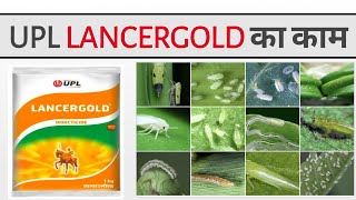 Acephate UPL Lancer gold imidacloprid  Advance agriculture [upl. by Nylaroc]