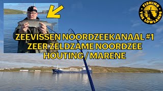 Zeevissen Noordzeekanaal 1 Uitgestorven vis gevangen Noordzee Houting Grote Marene [upl. by Pauiie]