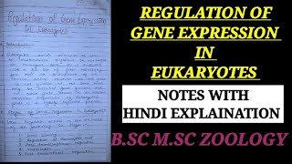 REGULATION OF GENE EXPRESSION IN EUKARYOTES HINDI EXPLAIN regulationingeneexpressionineukayote [upl. by Marlin]