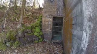 A2040 Infanteriebunker Auwald V und A2041 Unterstand [upl. by Korenblat517]